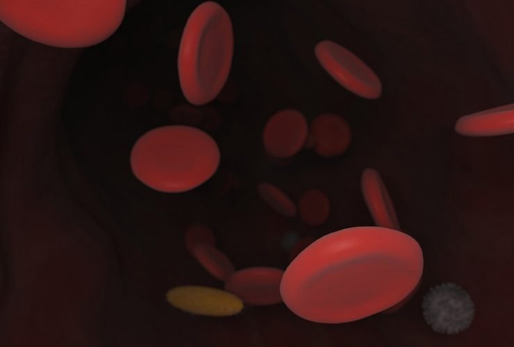 anemia feripriva